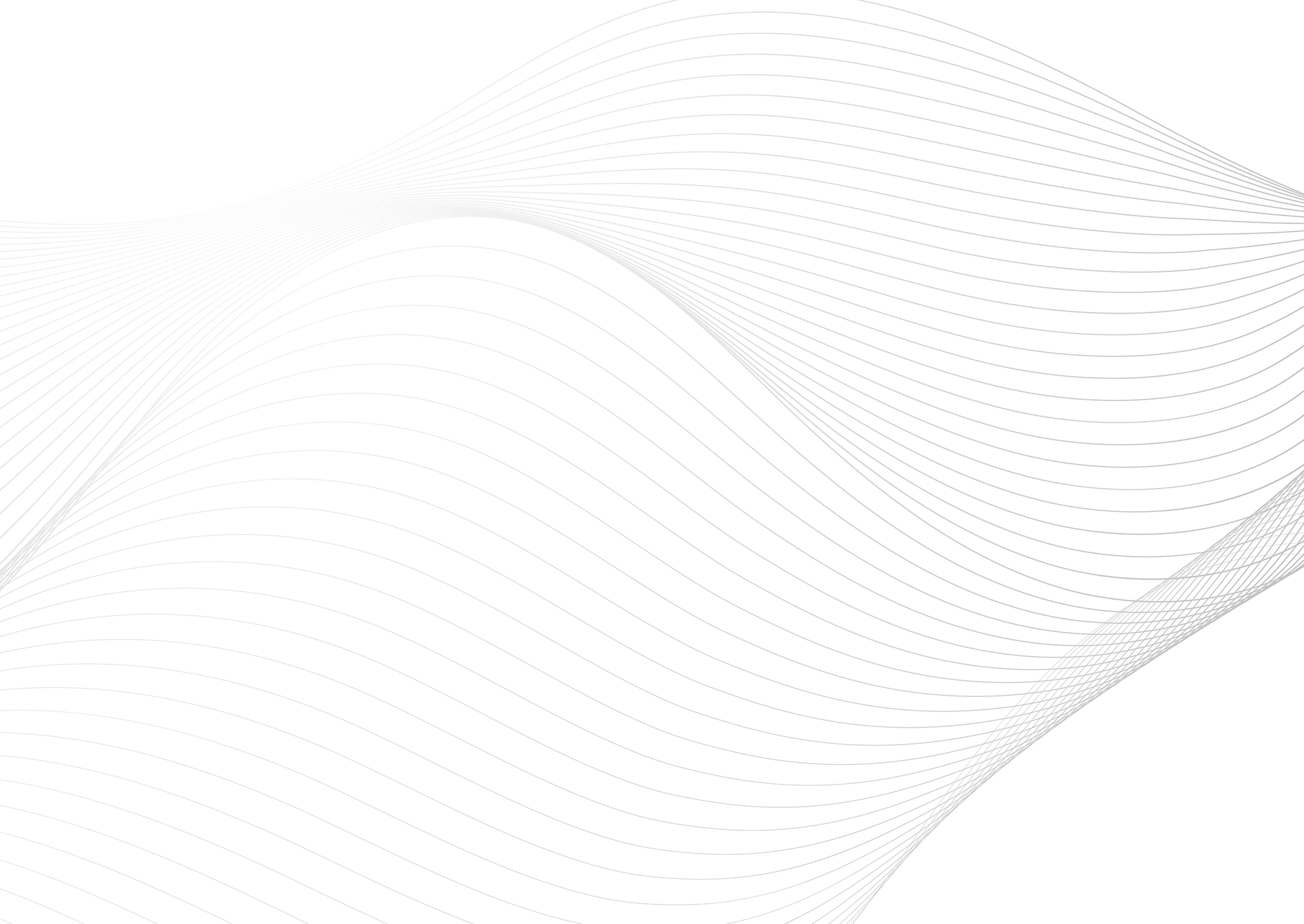 Web Site Tasarımcısı, İnönü